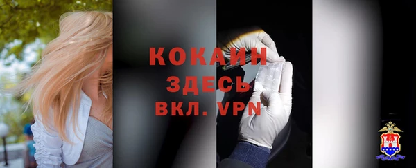 индика Аркадак