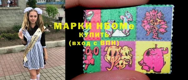 индика Аркадак