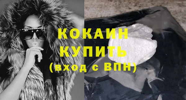 индика Аркадак