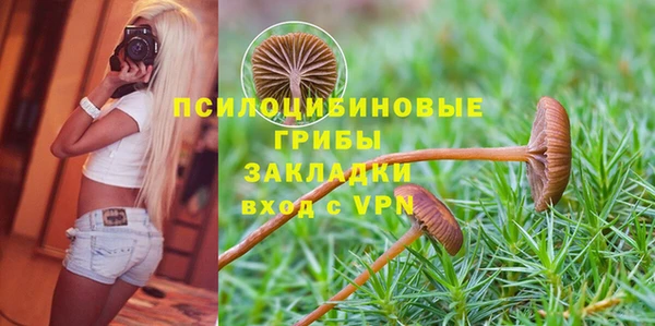 индика Аркадак