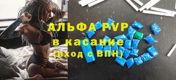 стафф Арсеньев