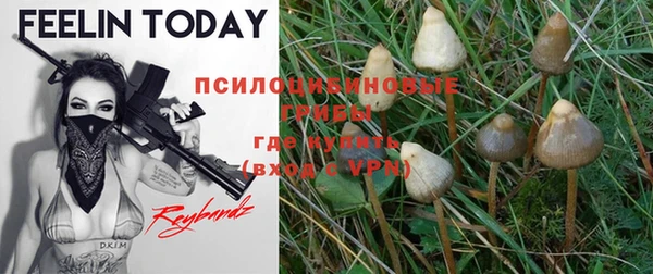 индика Аркадак