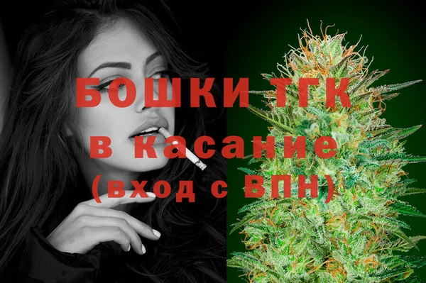 стафф Арсеньев