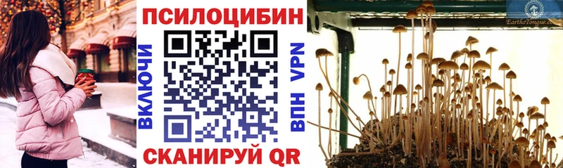 ссылка на мегу ТОР  Ахтубинск  Галлюциногенные грибы мицелий 