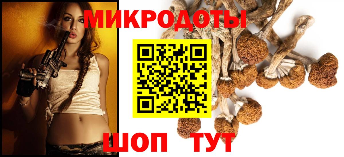 Ахтубинск  наркотики  Псилоцибиновые грибы мицелий  Вход с VPN  Галлюциногенные грибы Psilocybine cubensis 