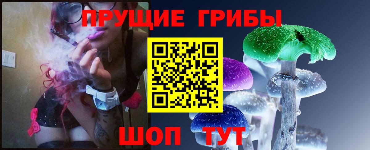 Галлюциногенные грибы GOLDEN TEACHER Ахтубинск